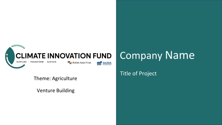 company name