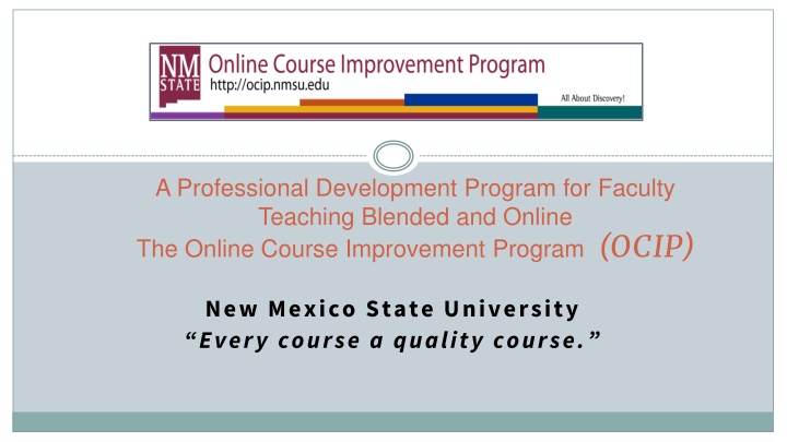 a professional development program for faculty