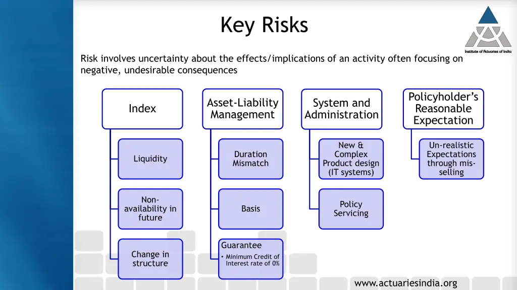 key risks