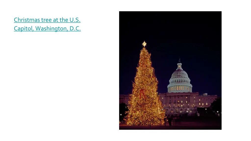 christmas tree at the u s capitol washington d c