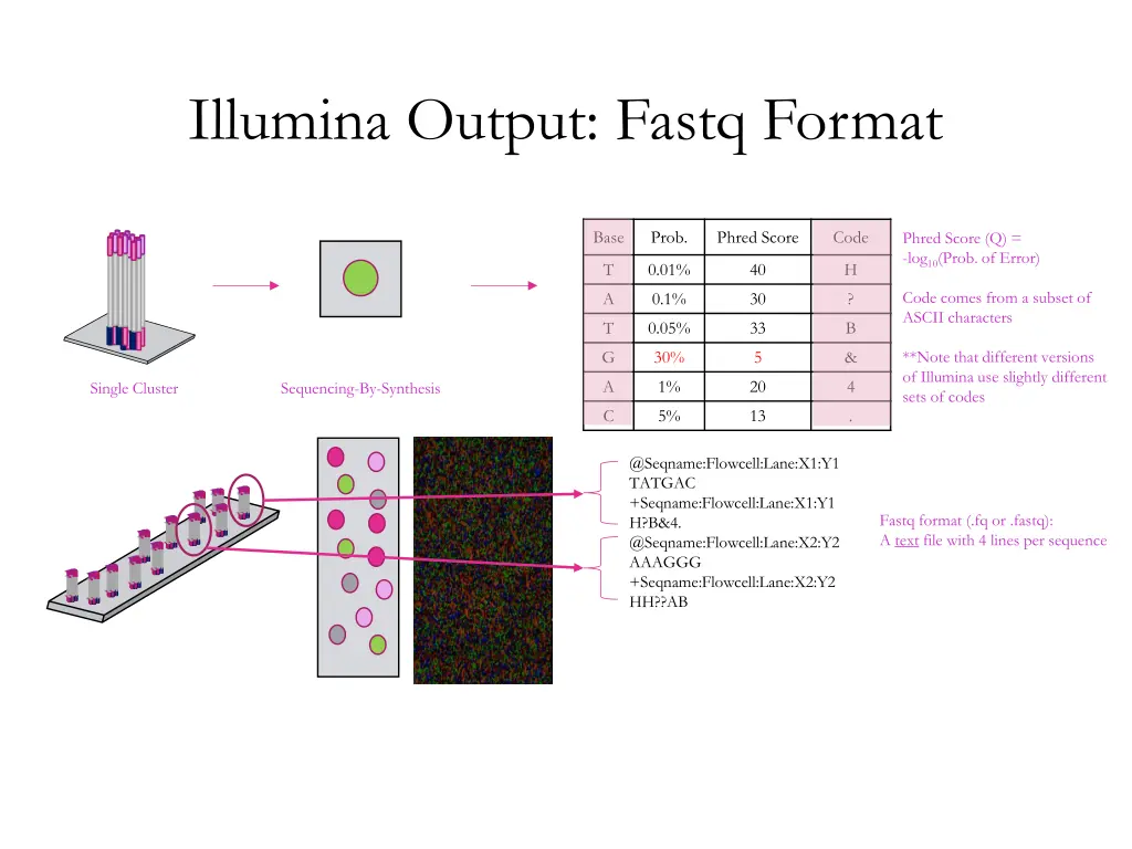 illumina output fastq format