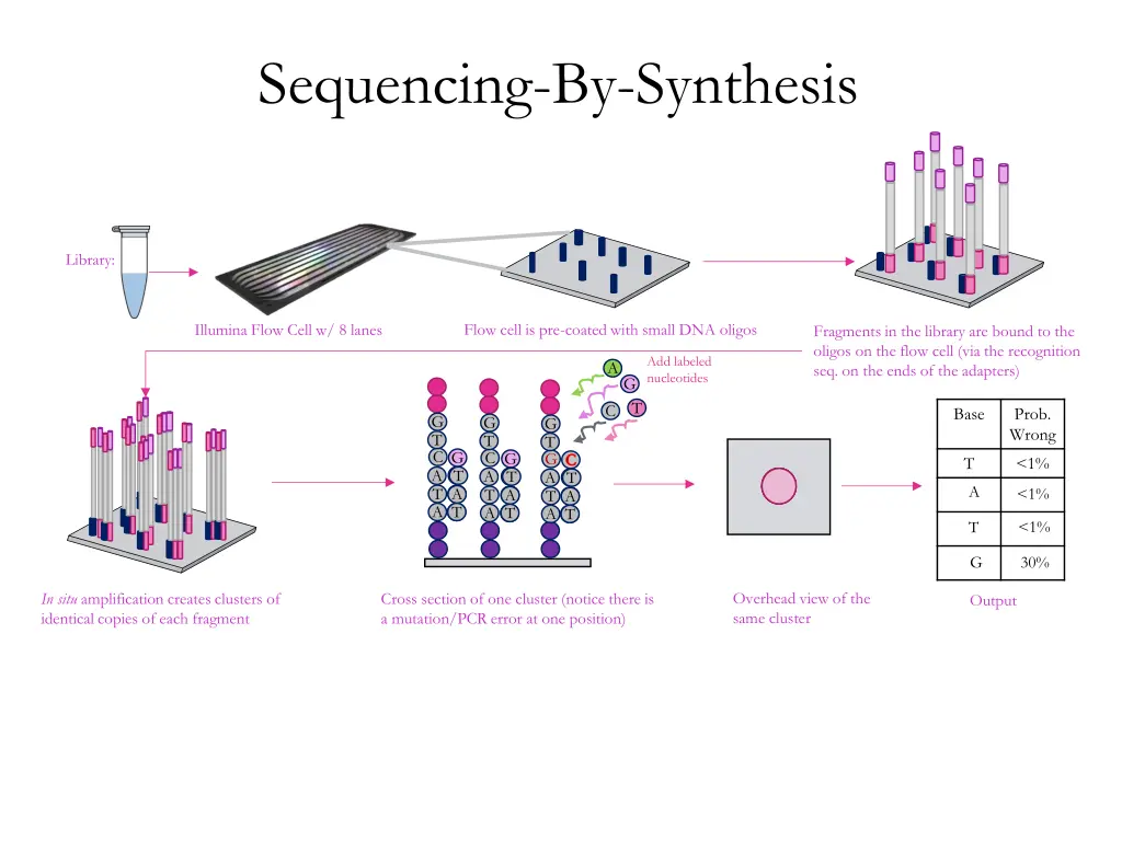 sequencing by synthesis