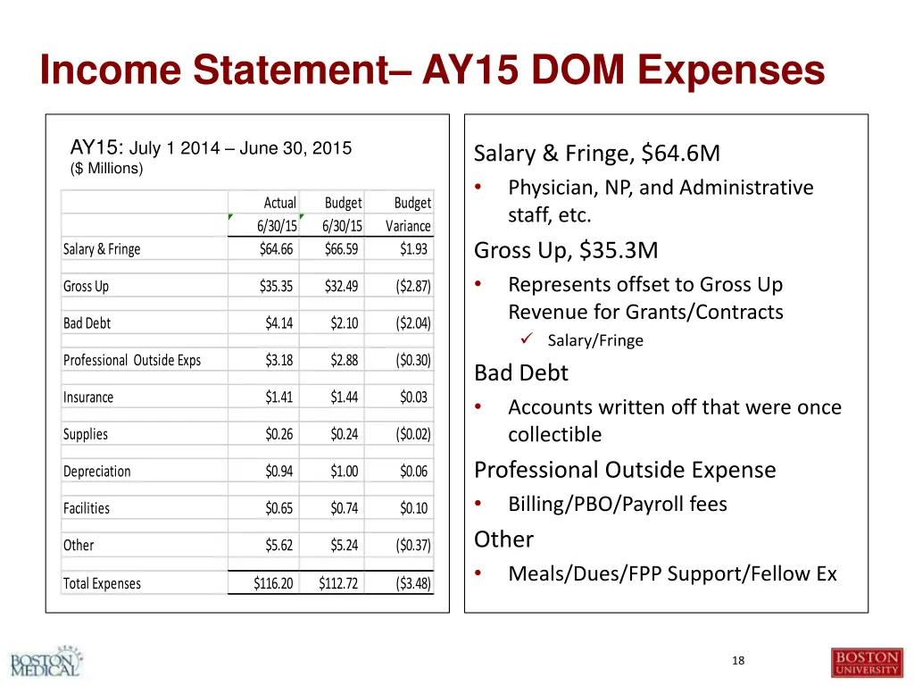 income statement ay15 dom expenses