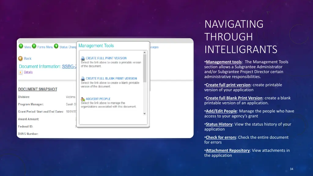 navigating through intelligrants 2
