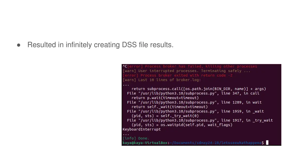 resulted in infinitely creating dss file results