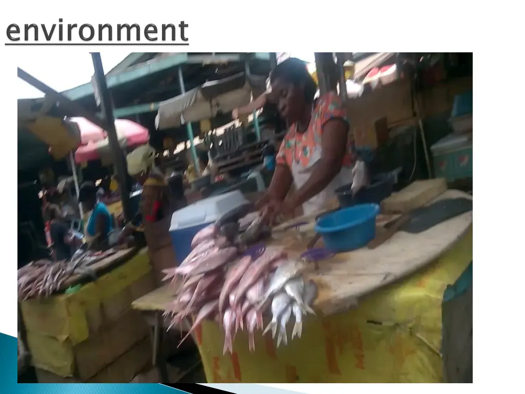 slide16