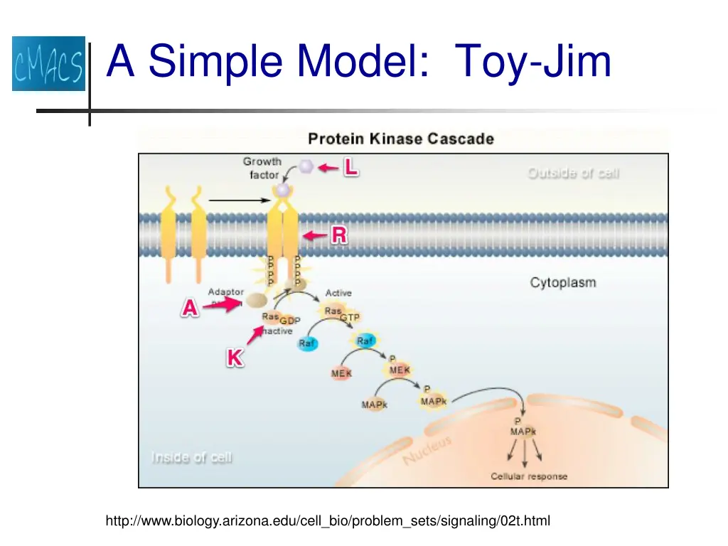 a simple model toy jim 1