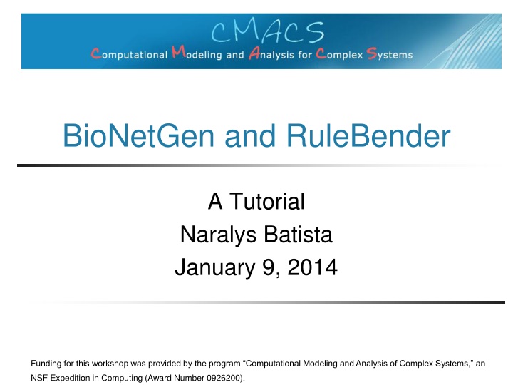 bionetgen and rulebender
