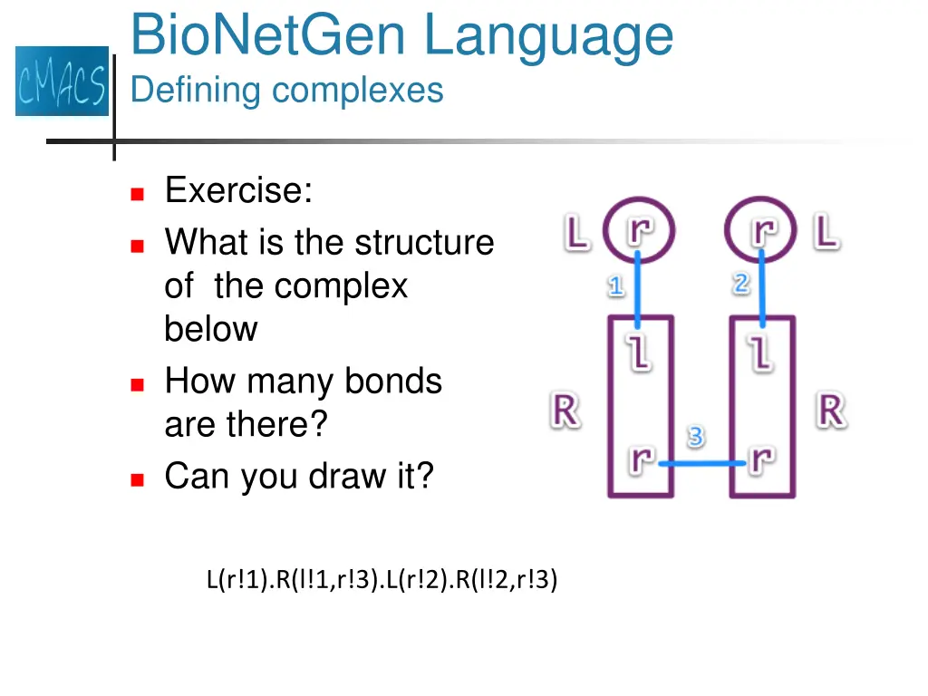 bionetgen language defining complexes 1
