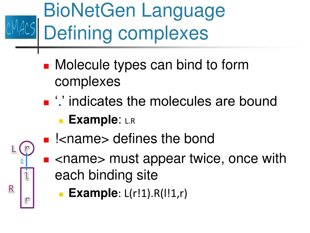 bionetgen language defining complexes