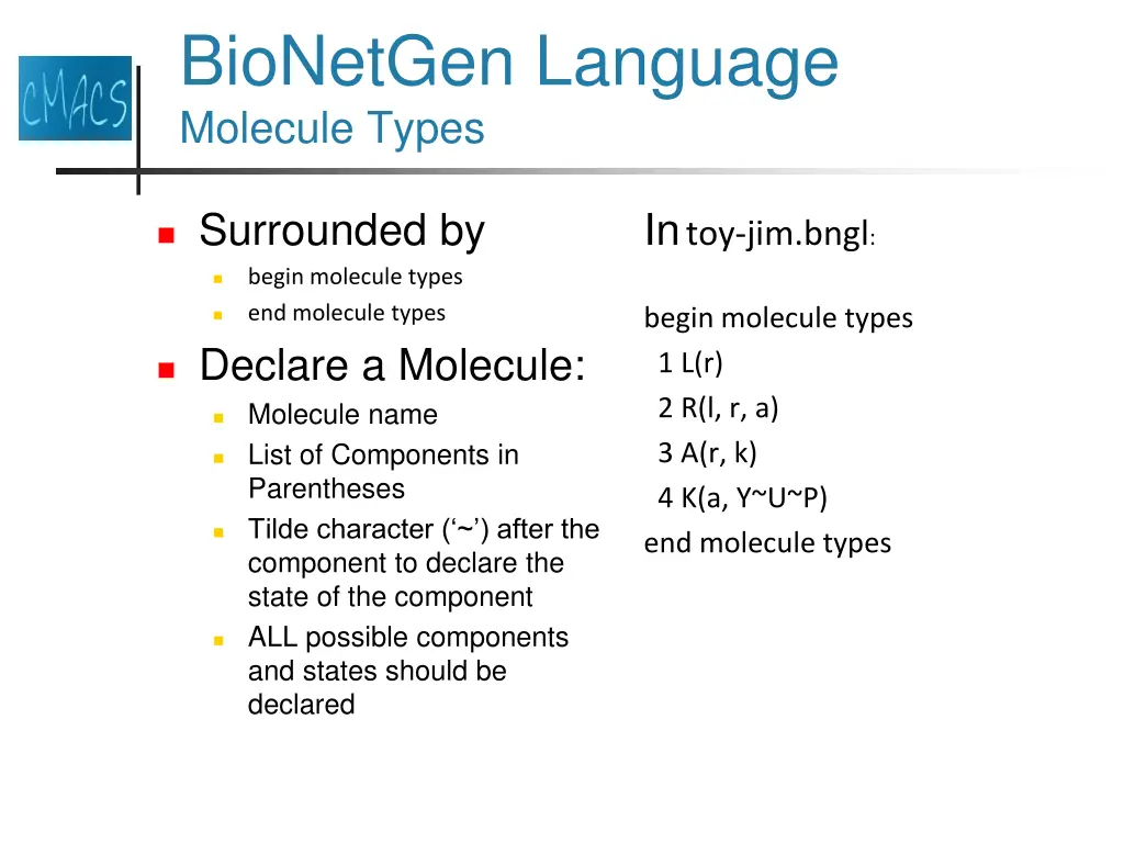 bionetgen language molecule types