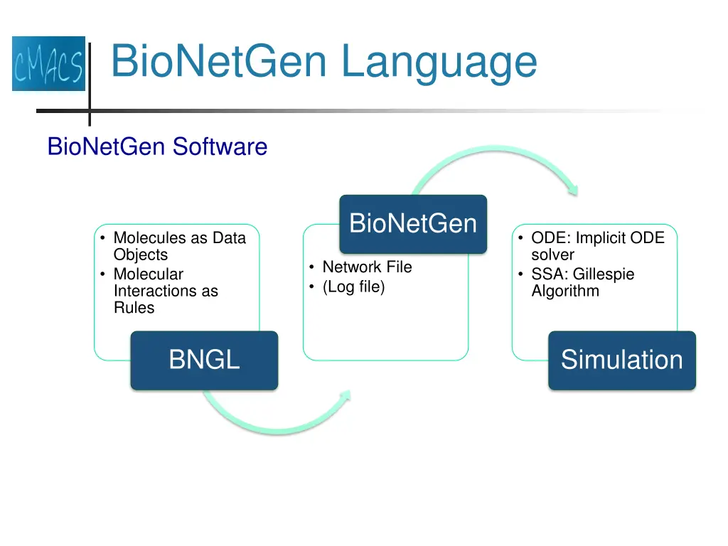 bionetgen language