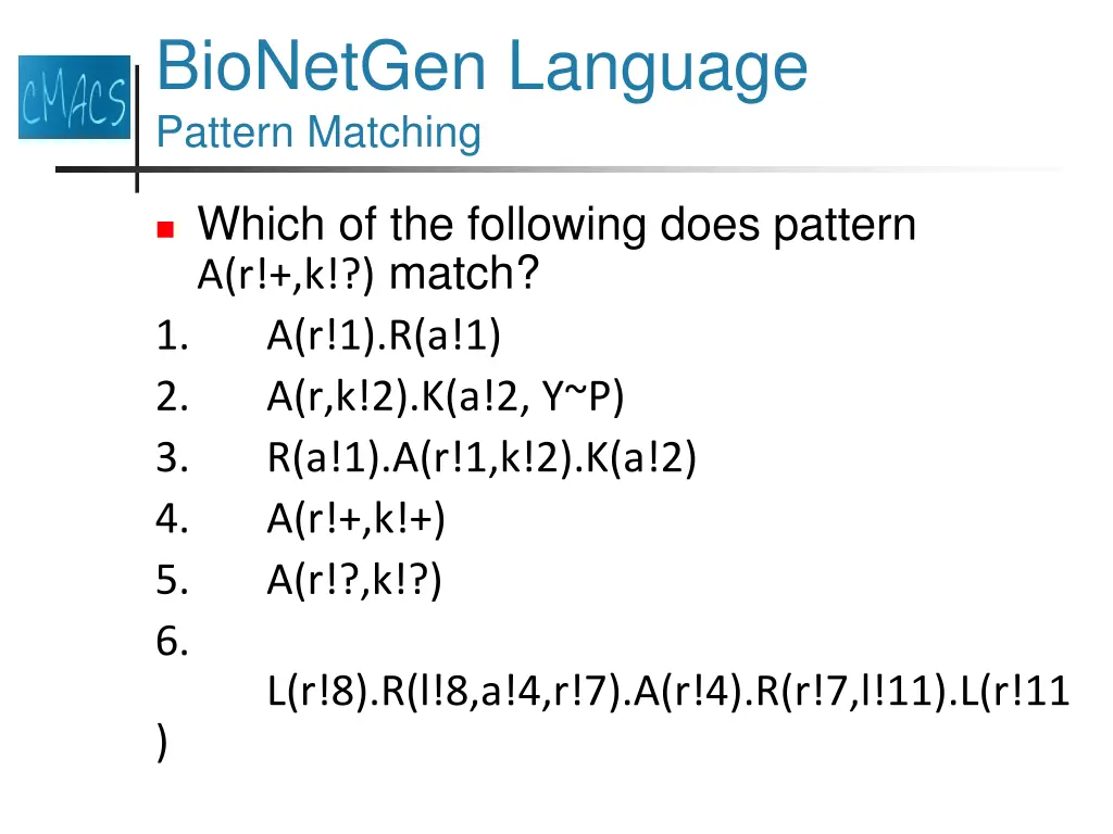 bionetgen language pattern matching 1