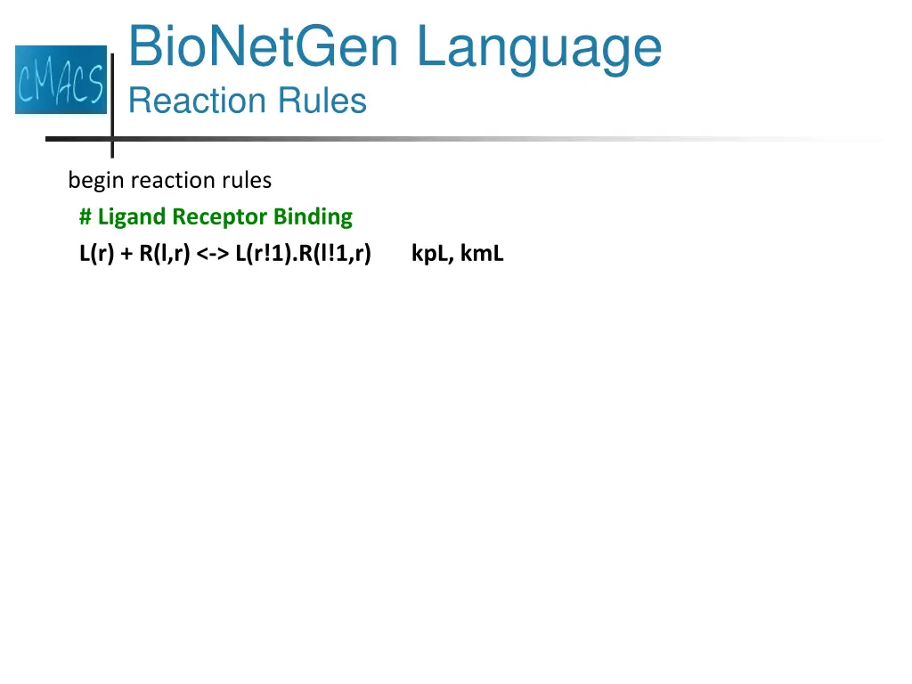 bionetgen language reaction rules 3