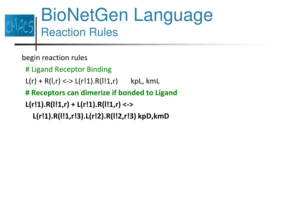 bionetgen language reaction rules 4