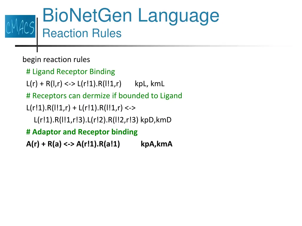 bionetgen language reaction rules 5