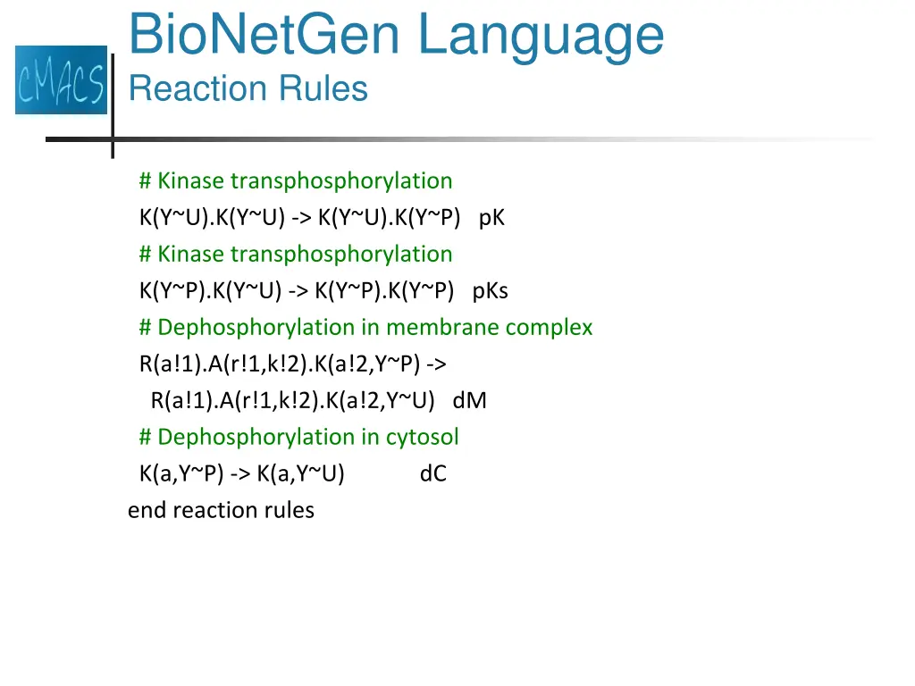 bionetgen language reaction rules 7