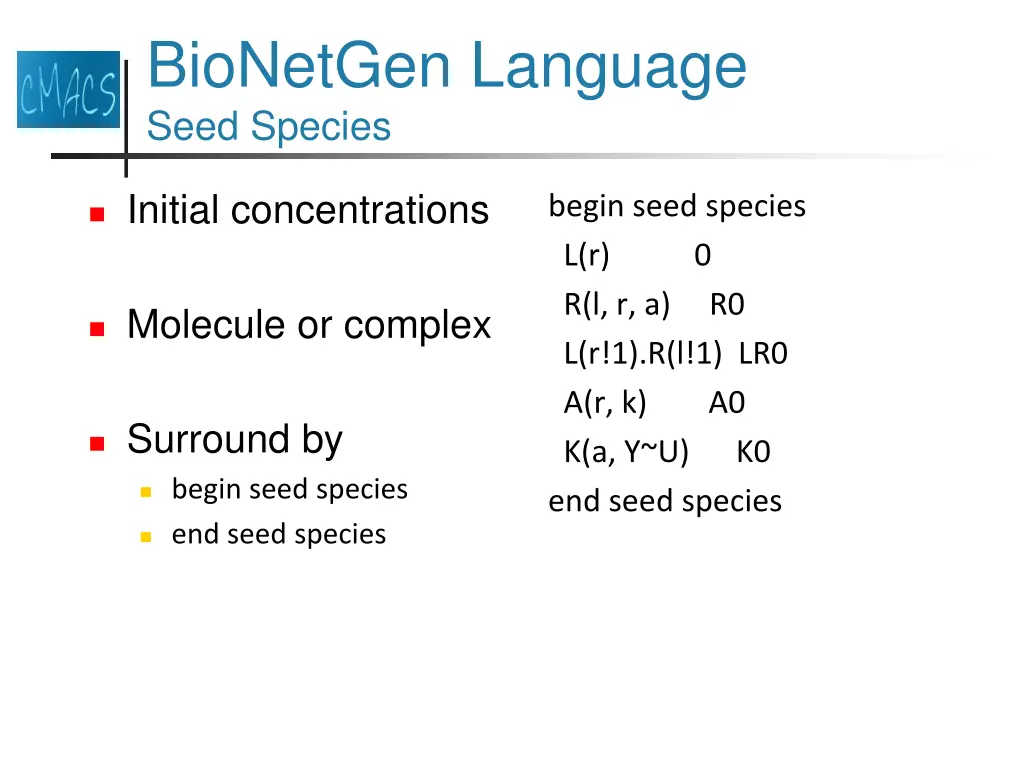 bionetgen language seed species