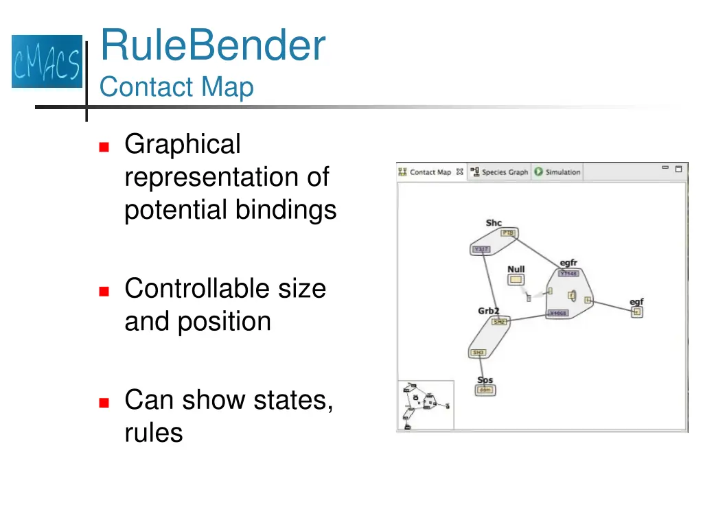 rulebender contact map