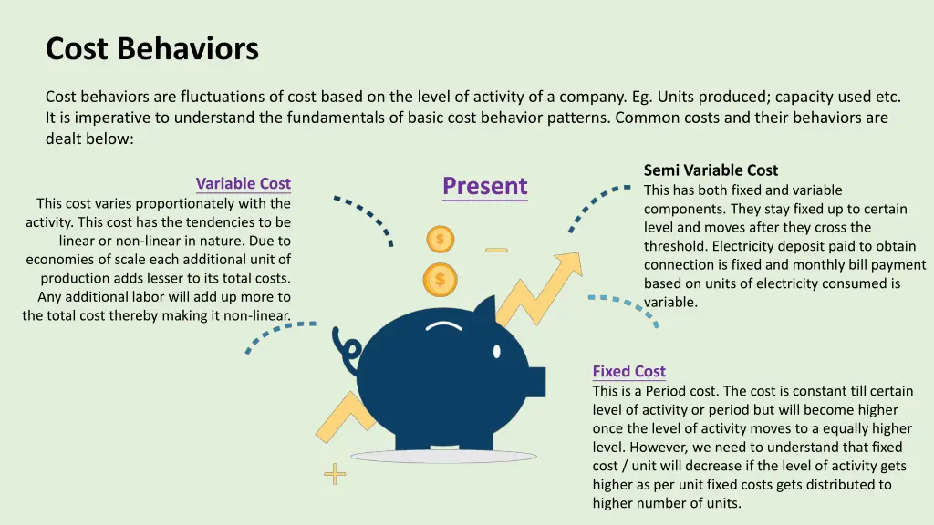 cost behaviors
