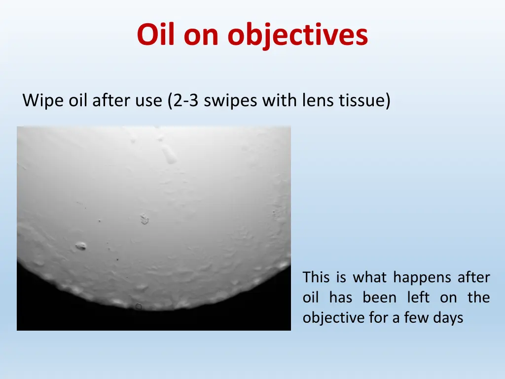 oil on objectives