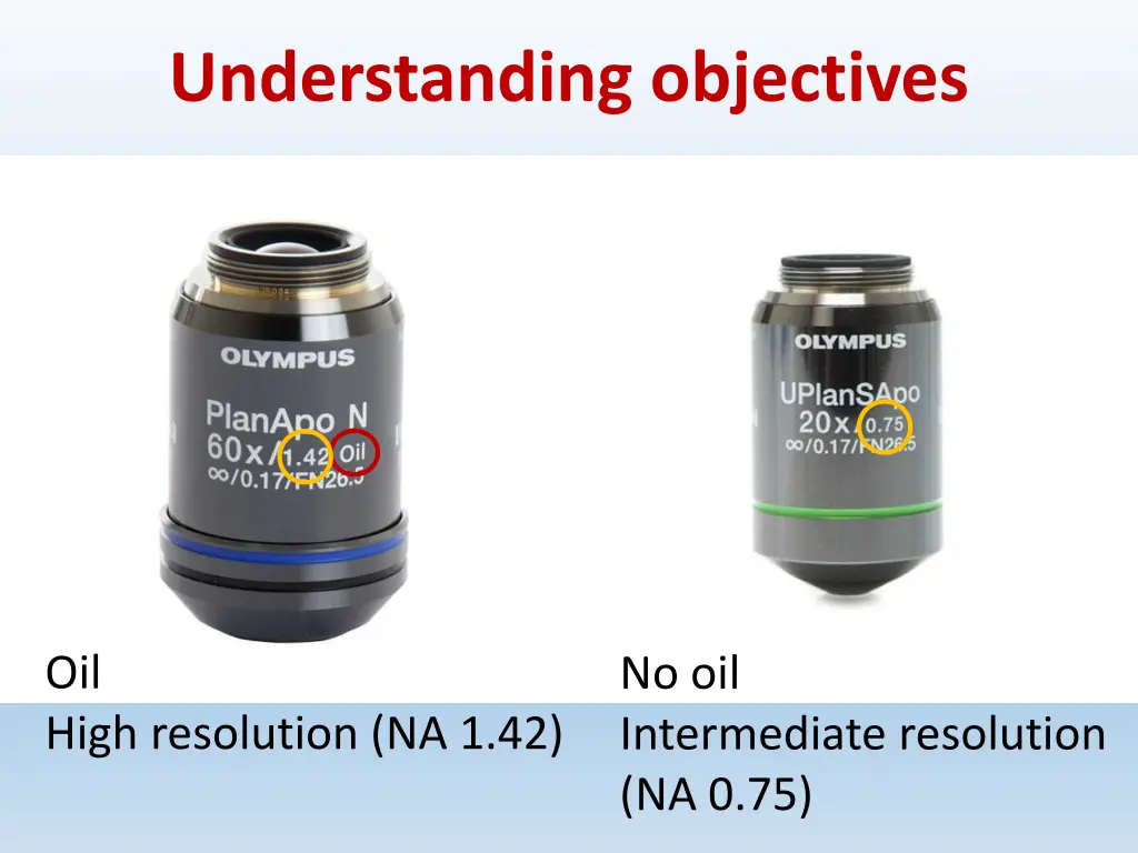 understanding objectives