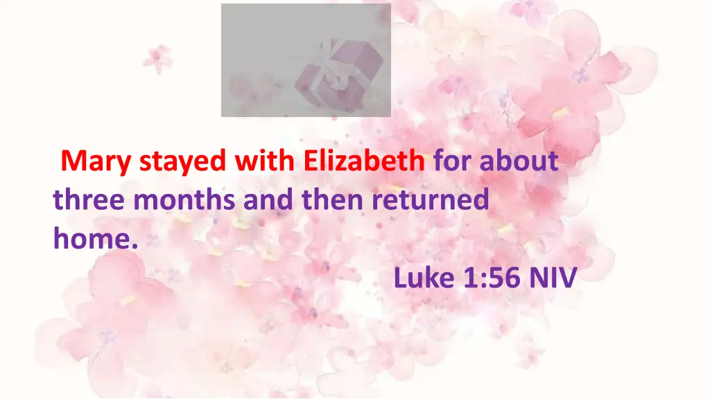 mary stayed with elizabeth for about three months 1