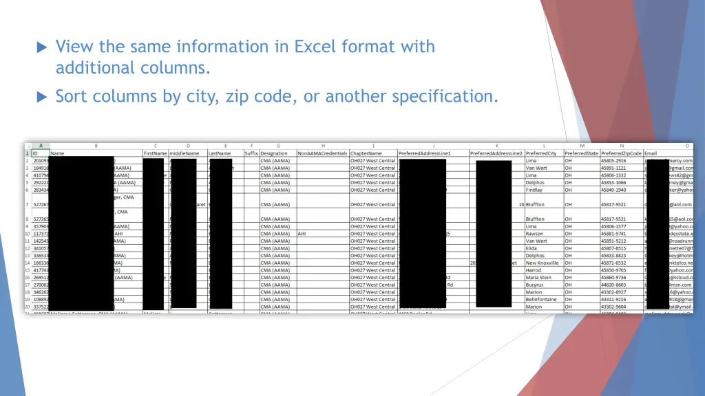 view the same information in excel format with