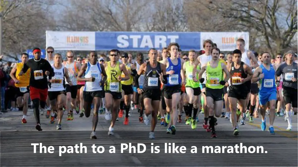 the path to a phd is like a marathon