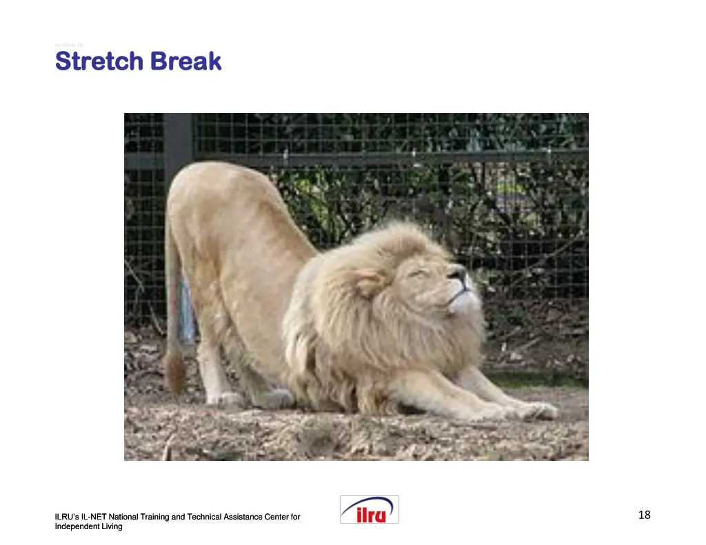 slide slide 18 stretch break stretch break