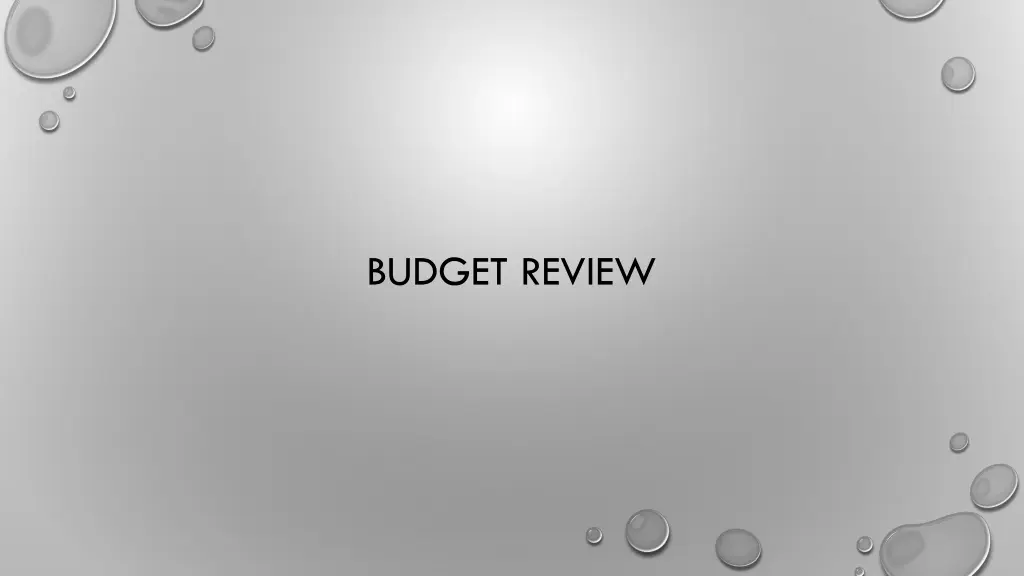 budget review