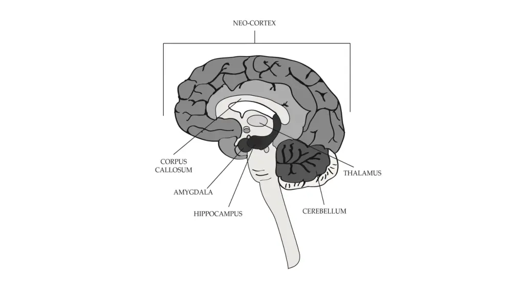slide3