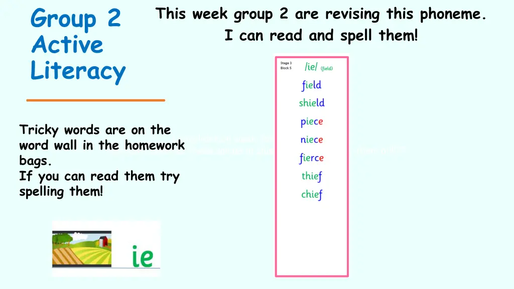 group 2 active literacy