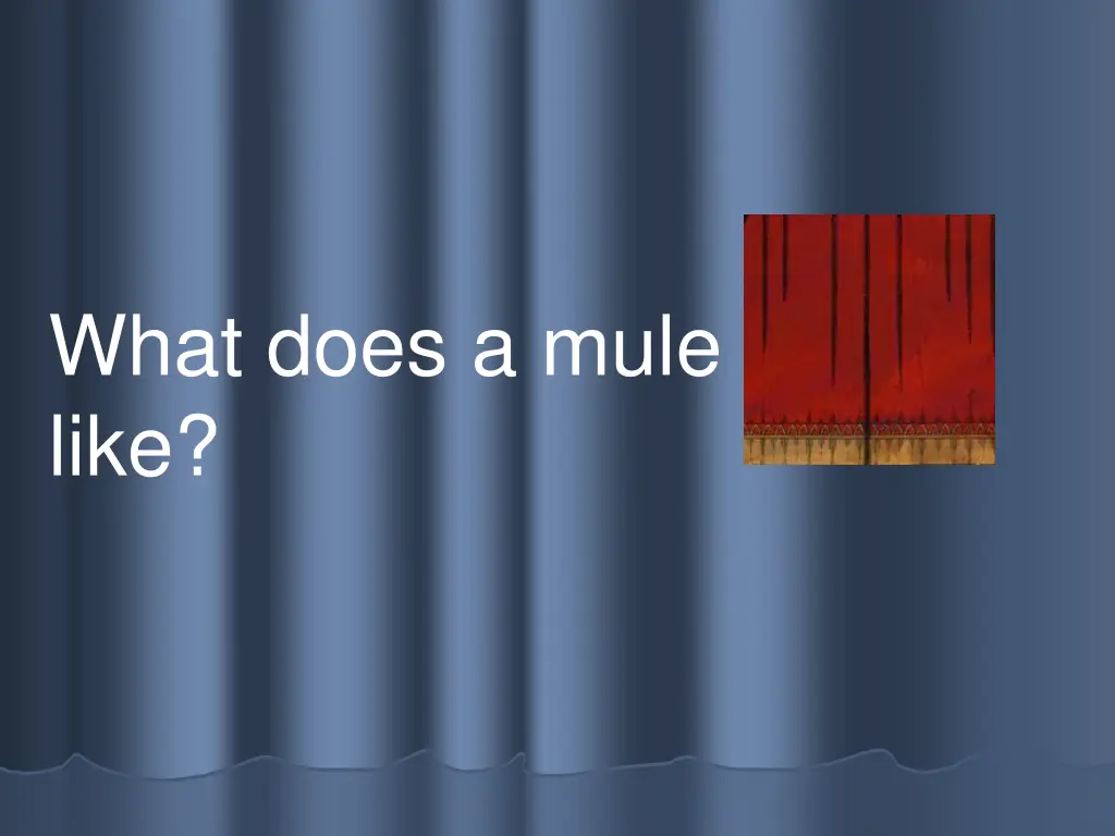 what does a mule sound like