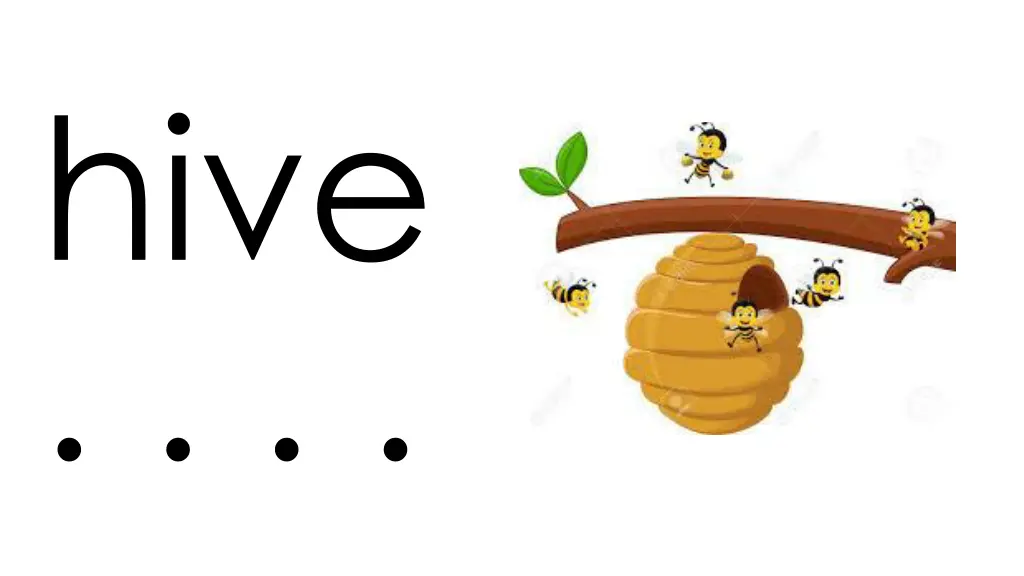 slide11