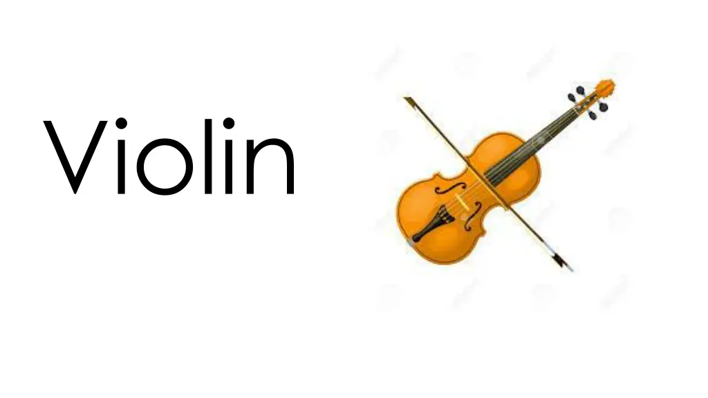 violin