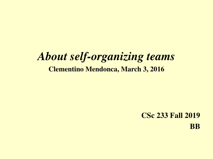 about self organizing teams clementino mendonca