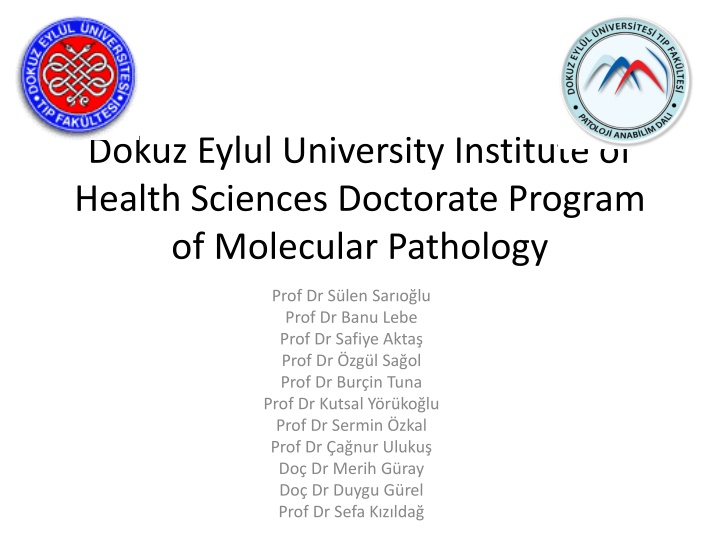 dokuz eylul university institute of health