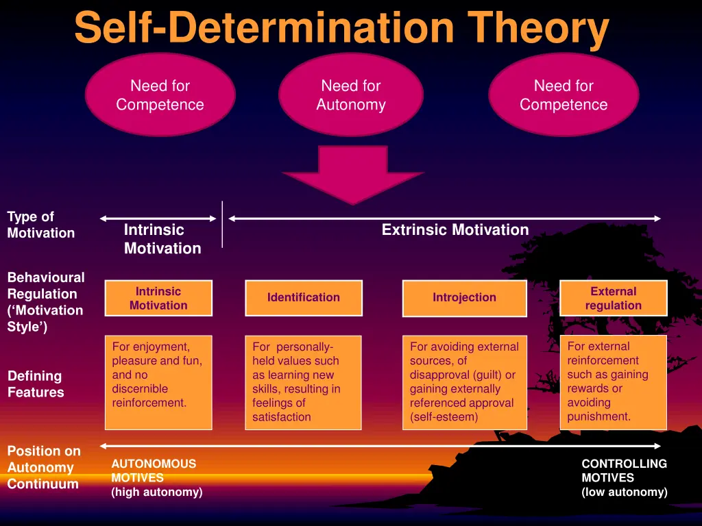 self determination theory