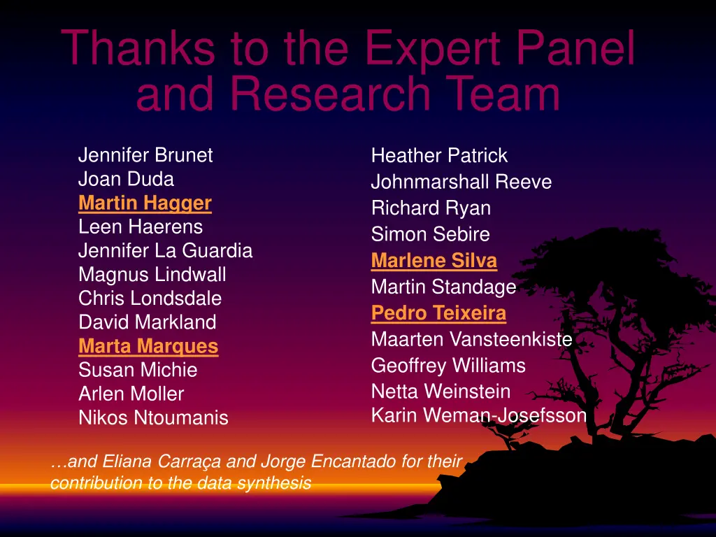 thanks to the expert panel and research team