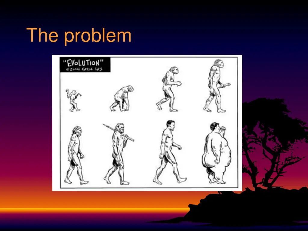 the problem 1