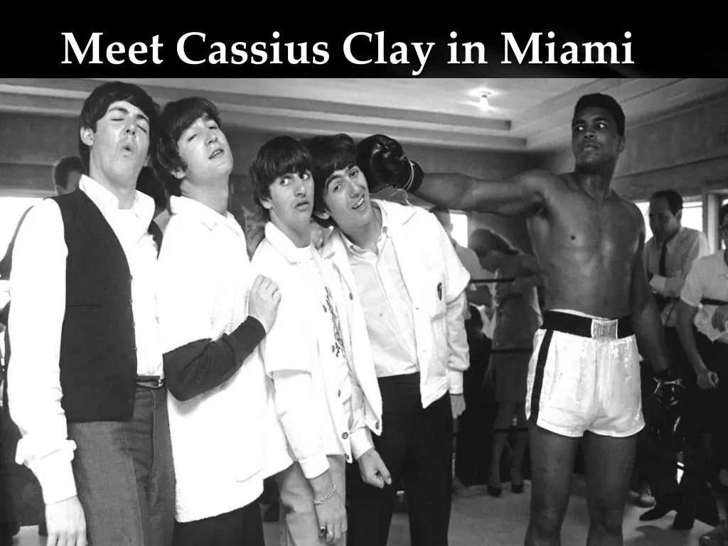meet cassius clay in miami
