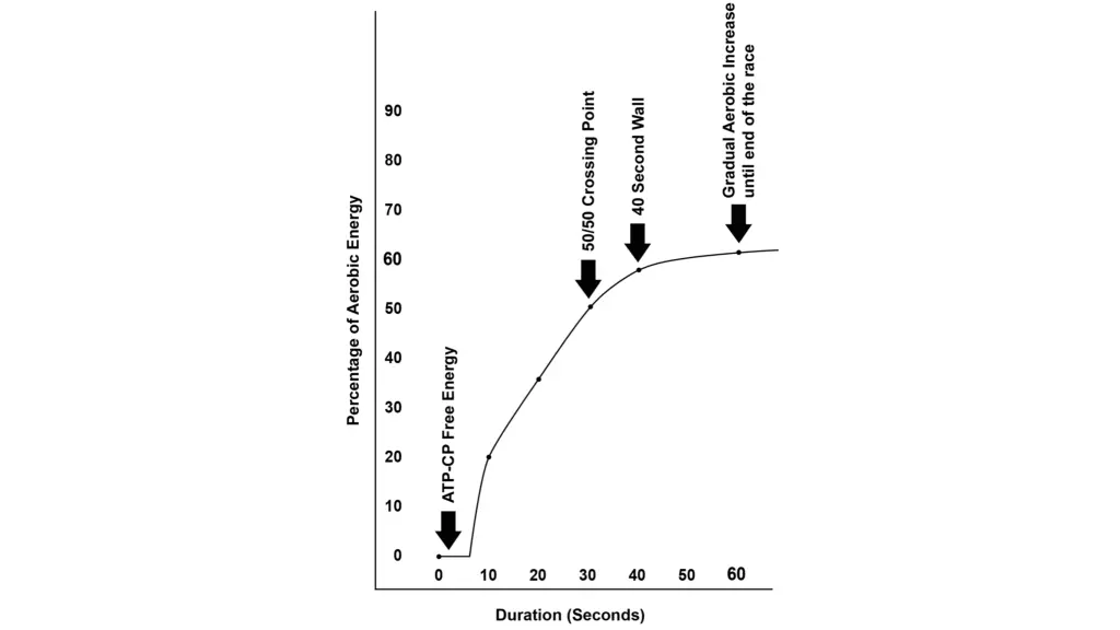 slide5