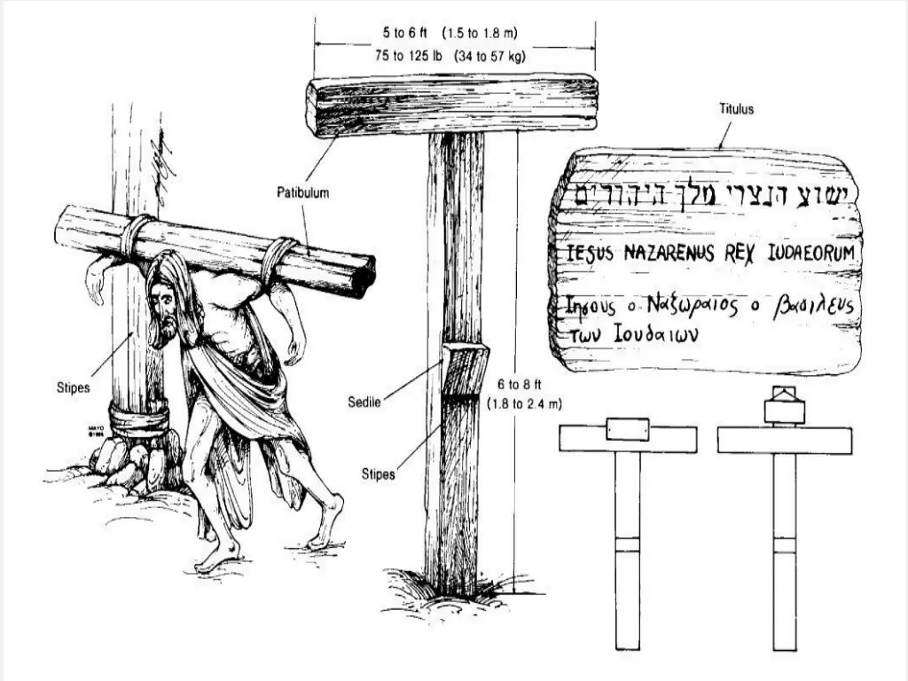 slide8