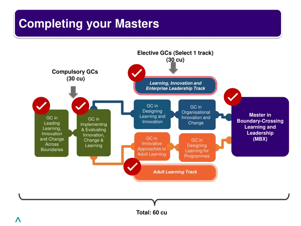 completing your masters