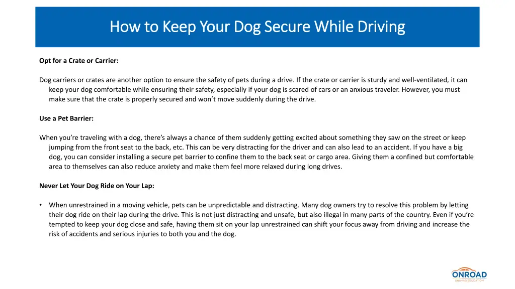 how to keep your dog secure while driving 2