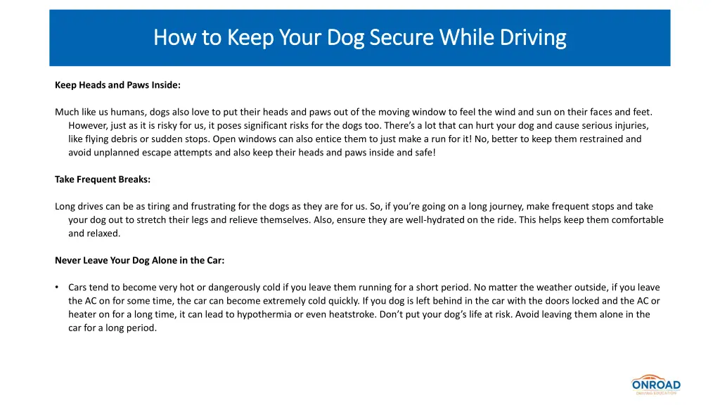 how to keep your dog secure while driving 3