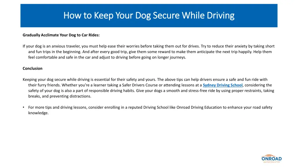 how to keep your dog secure while driving 4