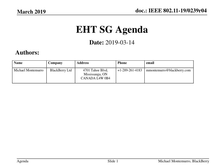doc ieee 802 11 19 0239r04