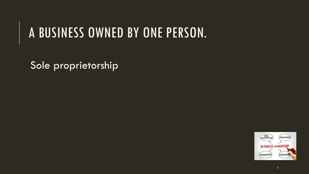 a business owned by one person